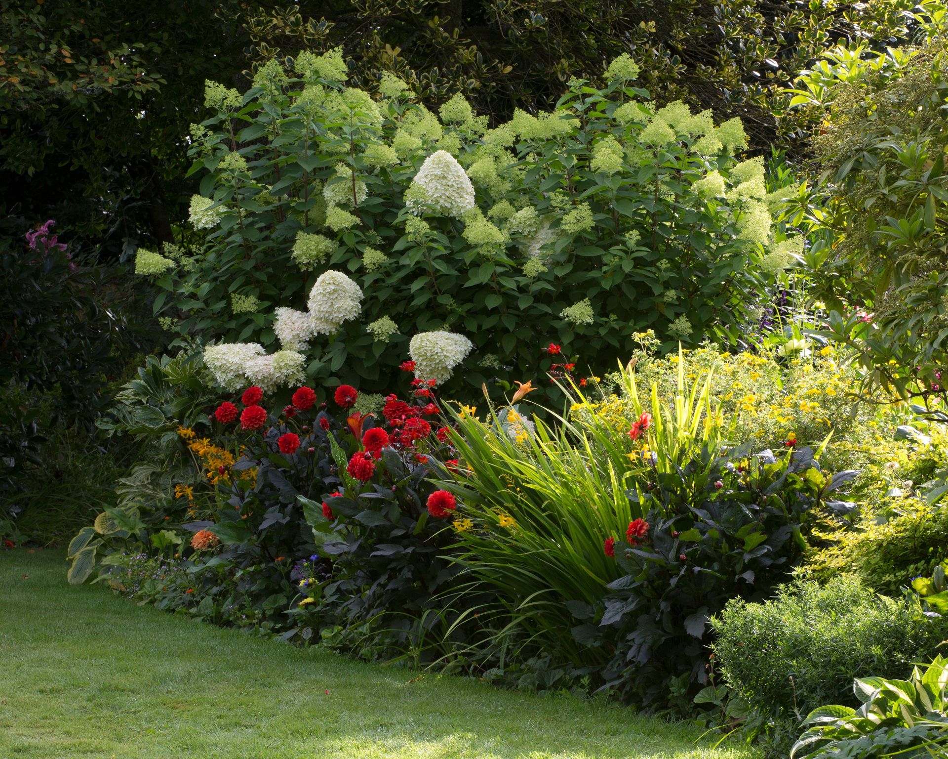 How to grow hydrangeas when, where and how to plant them Homes & Gardens