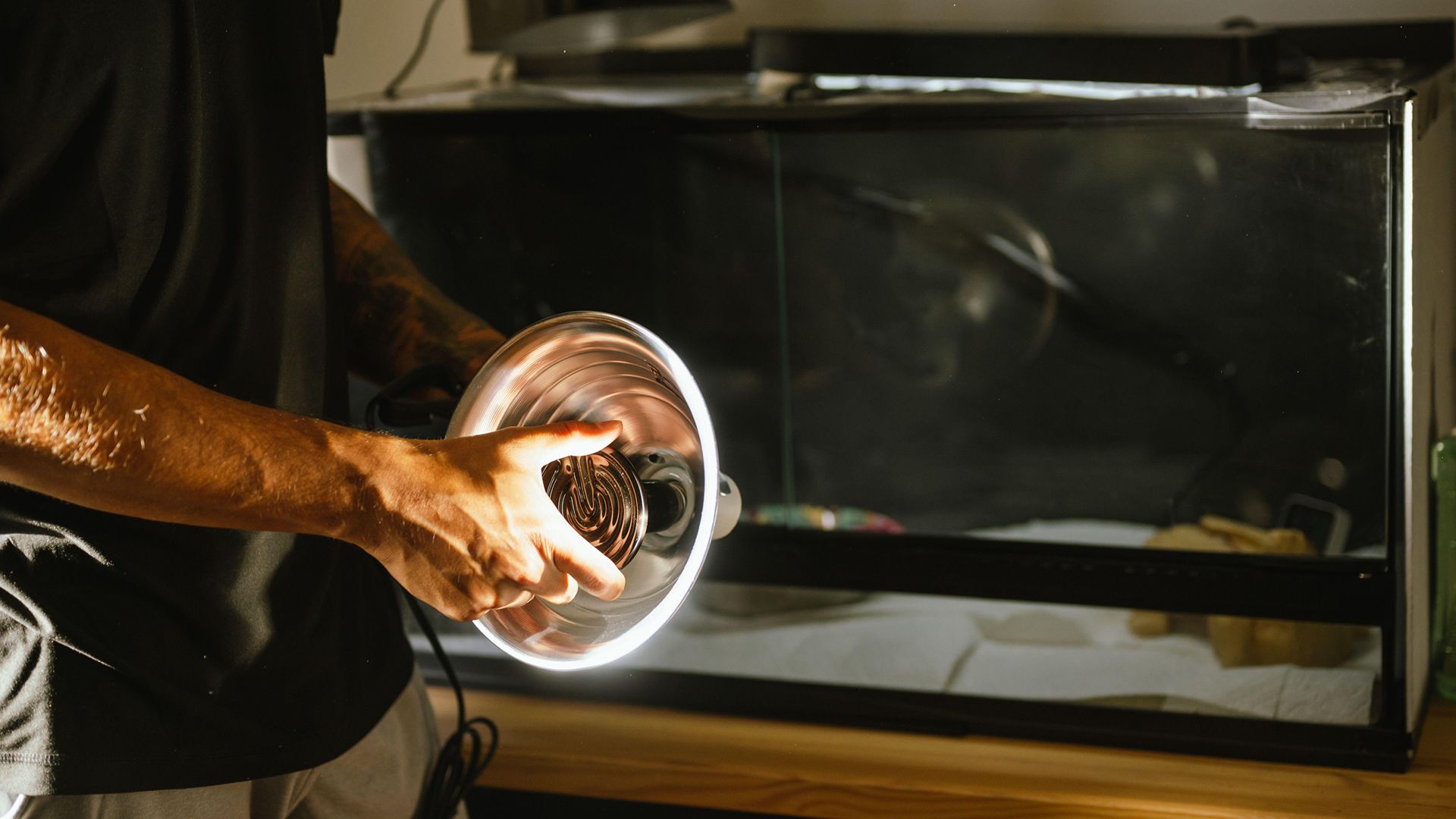 man preparing a heat lamp for reptile tank