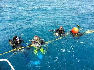 NEEMO 15 crewmembers prepare to dive to the Aquarius Underwater Laboratory on Oct. 20, 2011. CREDIT: NASA