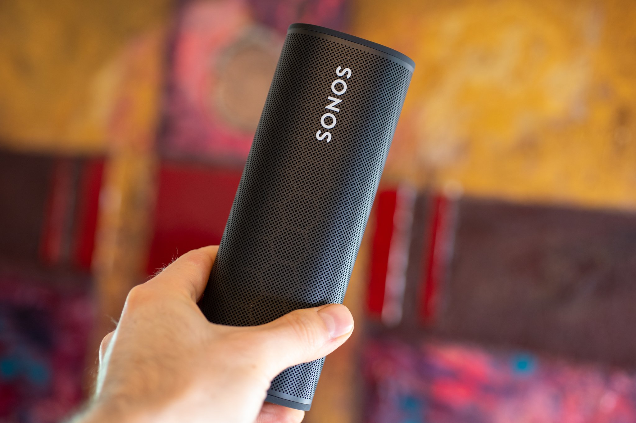 Sonos Roam review: Into the unknown | Central