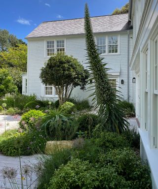 a mix of evergreen shrubs and plants in different forms and shapes beside a clapperboard house