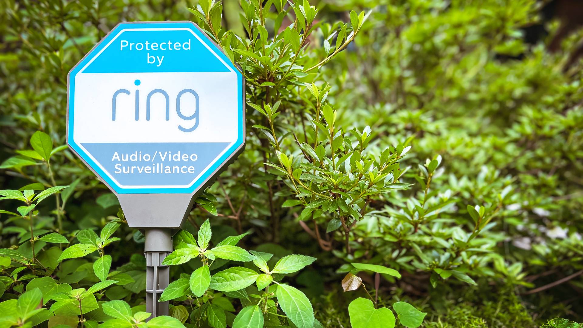 Springfield, Illinois, USA : July 8, 2024 "Protected by Ring" sign planted in a front garden of a residential home. Sign indicates that the premises is being monitored by audio and video surveillance.