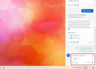 Copilot screenshot prompt
