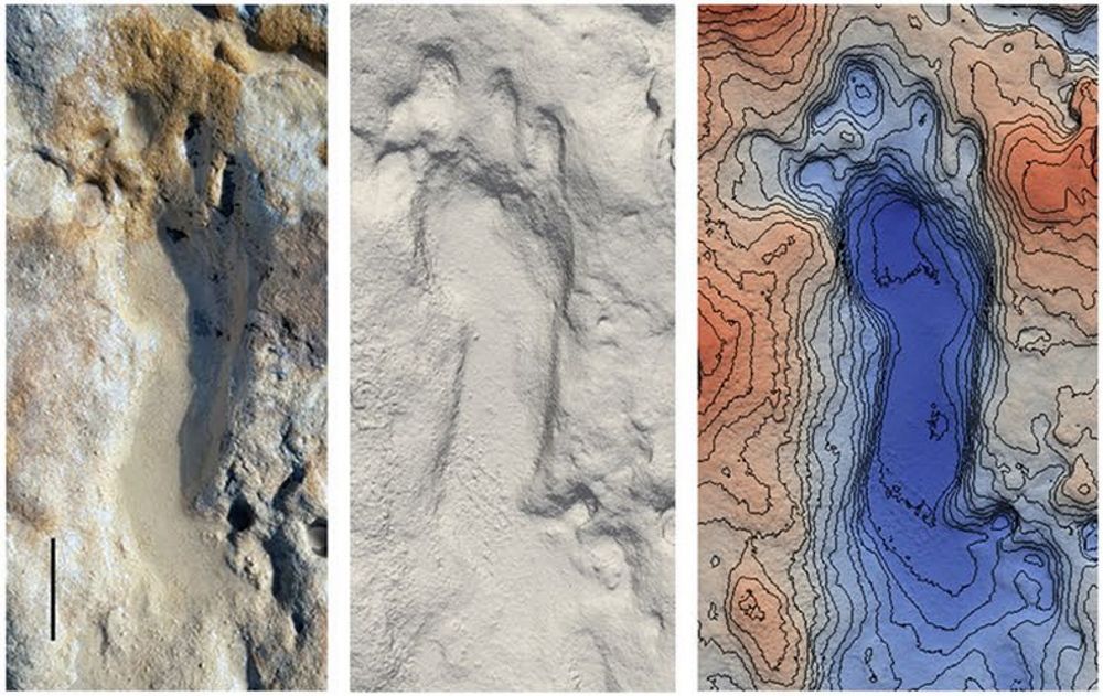 The scientific team estimates the fossilized footprints were made by a group of 36 Neanderthals that included 11 children &ndash; some of whom appear to have been playing in sand that became sedimentary rock.