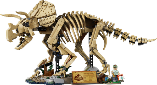 Dinosaur Fossils: Triceratops 77985