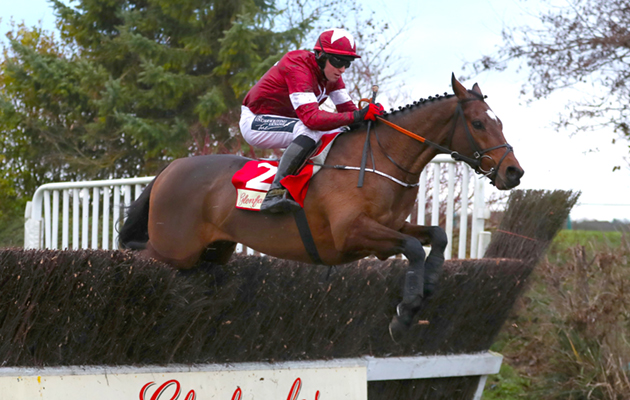 The International - Day One - Cheltenham Racecourse
