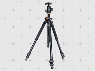 Vanguard Alta Pro 263AB 100 Aluminum Tripod
