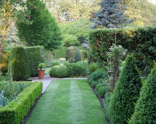 topiary shapes and evergreen hedges in a formal garden design