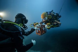 OceanOne Working with Human Diver