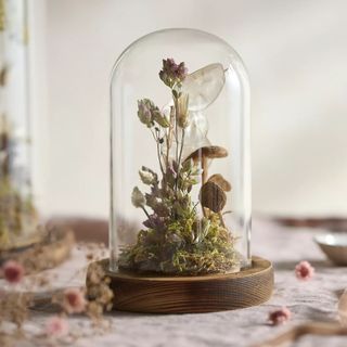 A domed terrarium filled with dried flowers