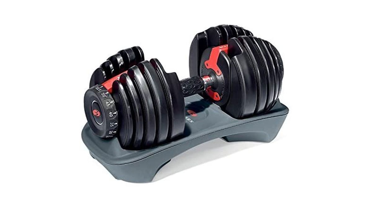 Cheap adjustable dumbell: Bowflex SelectTech 552i Dumbbell