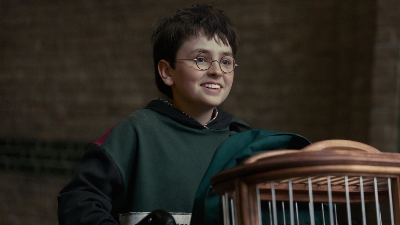Dominic McLaughlin as Harry Potter in new seires