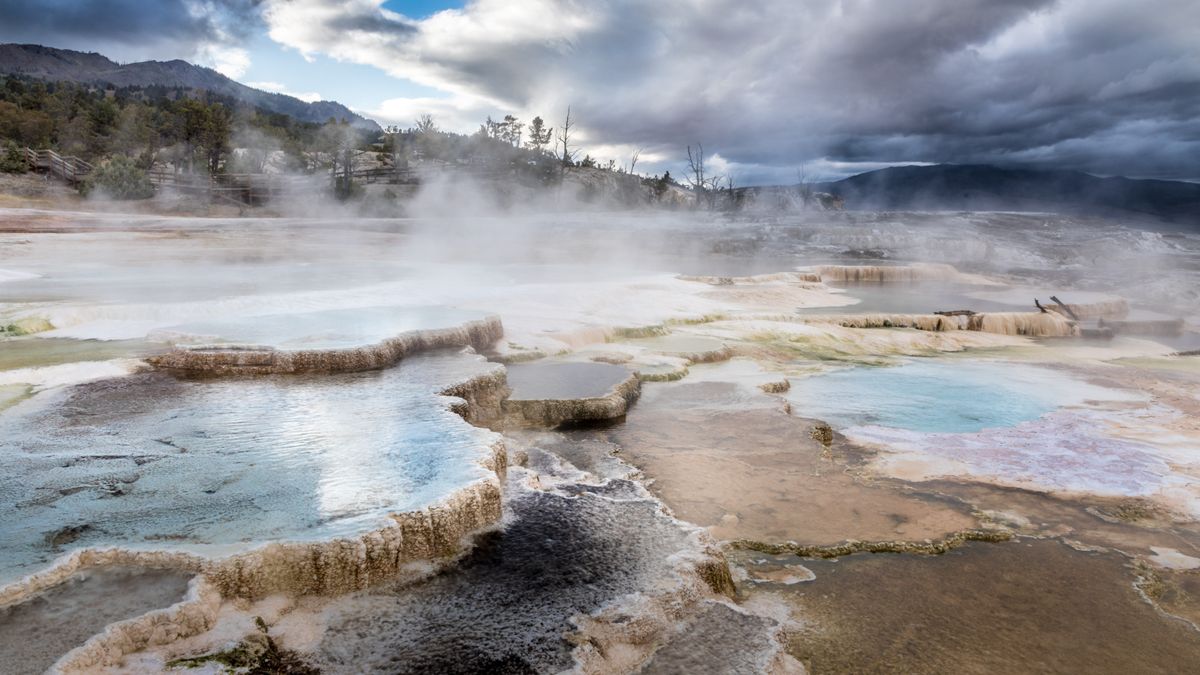 Terraces at Mammoth Hot Springs, Yellowstone National Park