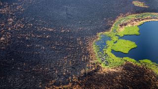 This aerial picture taken on July 27, 2021, shows a burned forest at Gorny Ulus, west of Yakutsk, in Siberia.