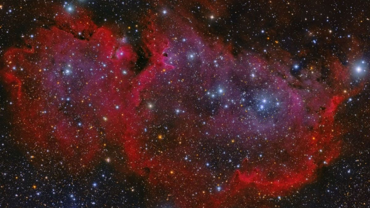 Soul Nebula houses several open clusters of stars and huge evacuated bubbles formed by the winds of young massive stars