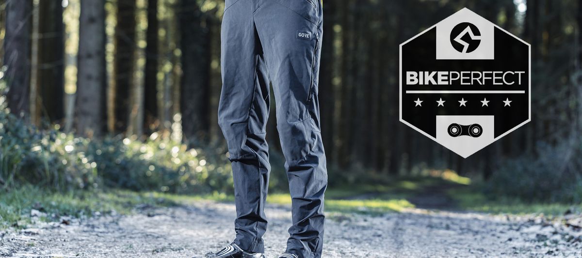 Gore Fernflow pants