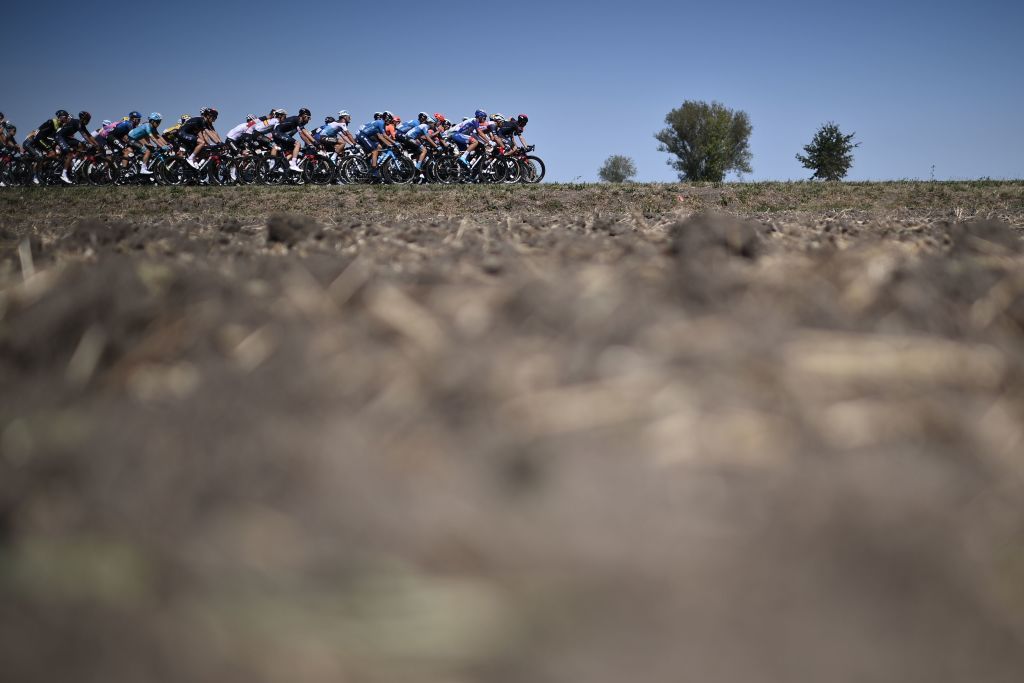 The peloton during stage 14 at the Tour de France