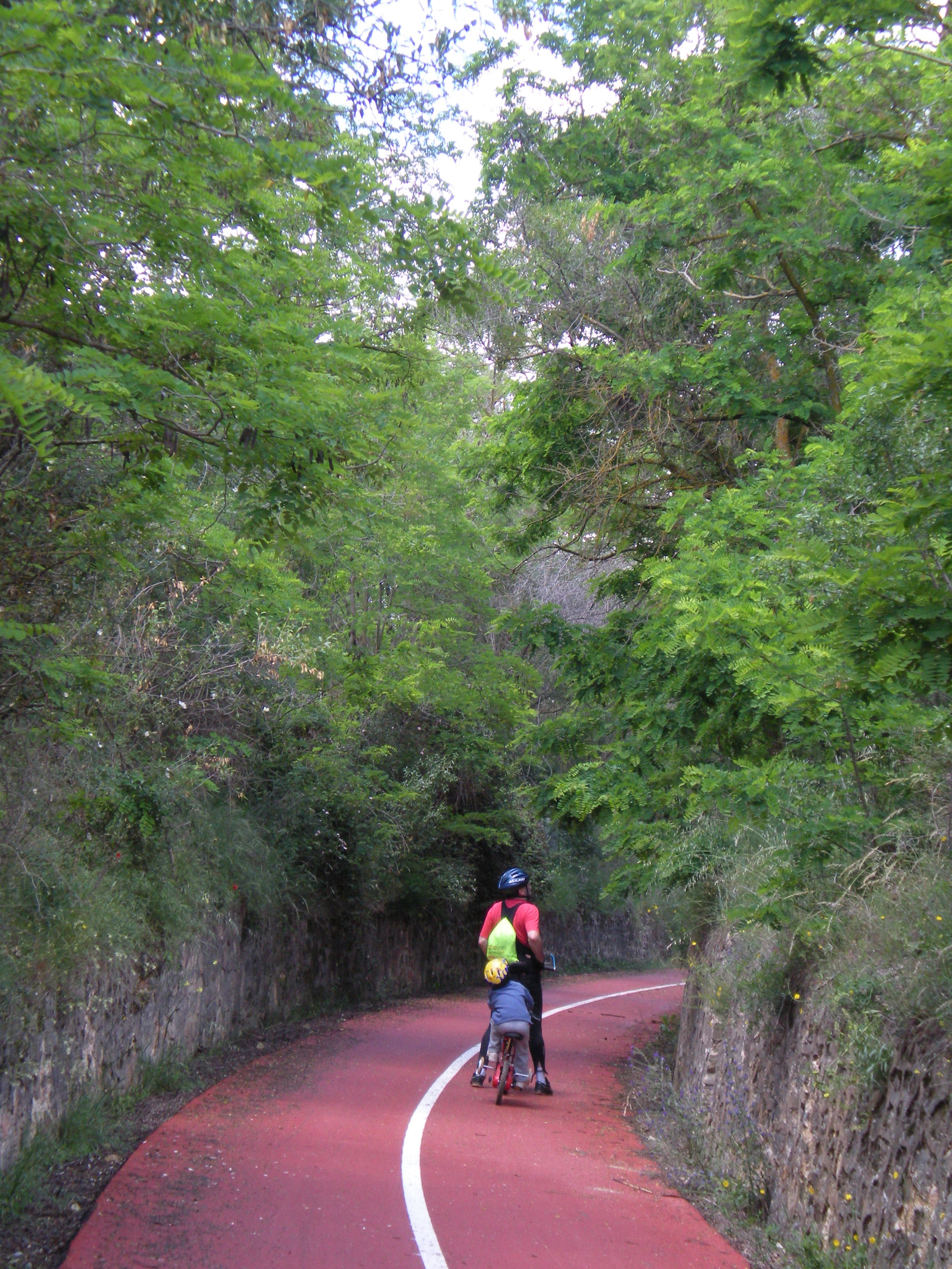 A cyclist on the via verde Tajuña