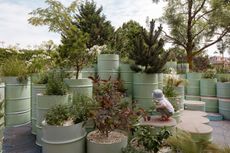 Re-Green North Kensington installation of planting