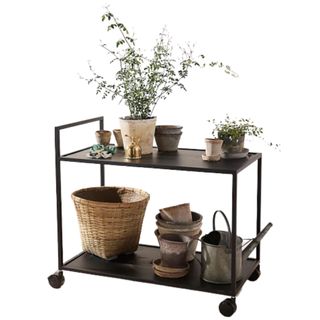 An Anthropologie Outdoor Iron Trolley covered with plants on a white background