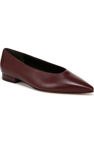 Isabel Pointed Toe Flat