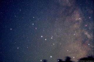 Stars of Sagittarius
