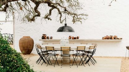 a pendant light hanging from a tree in a garden