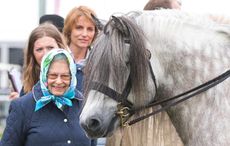 Queen Elizabeth ll attends the Royal Windsor Horse Show on May 12, 2018. This is the Queen&rsquo;s highland stallion Balmoral Mandarin who was third in the Olympia large breeds with Mathew Lawrence riding. He was also 1st and reserve in the highland in-hand section the previous day with his producer Lizzie Briant.