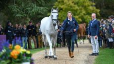 Hannah Chowen, groom to Piggy March, is responsible for making Halo look pearly white at the trot-up