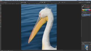 Affinity Photo object removal