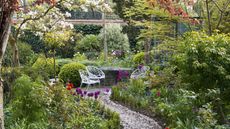 A walled town garden with raised bed planted with box balls, hebe, tulips and forget-me-nots. Permanent structure added by varietated pittosporum, grey hebes and green box balls.