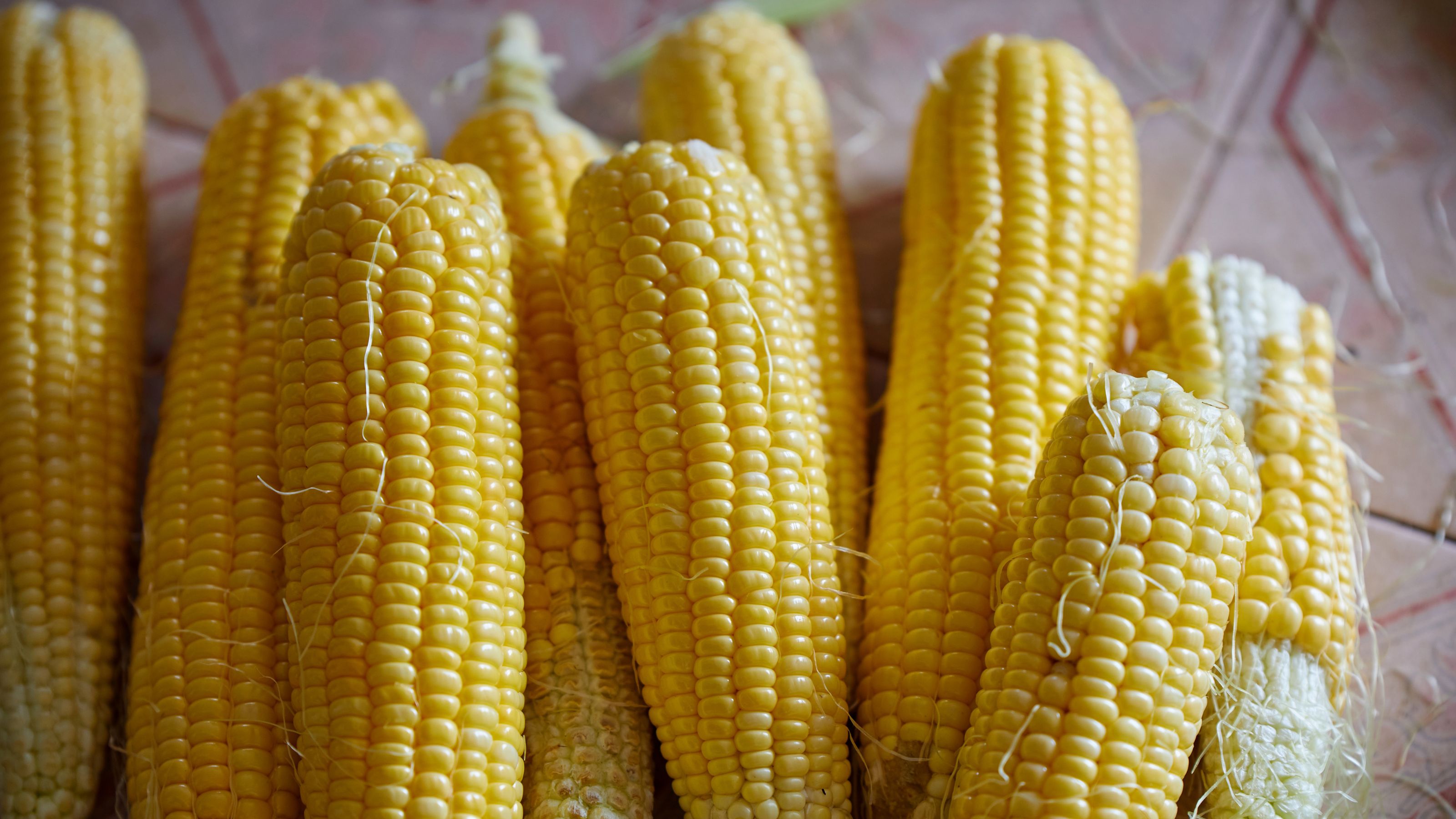 Harvested sweetcorn