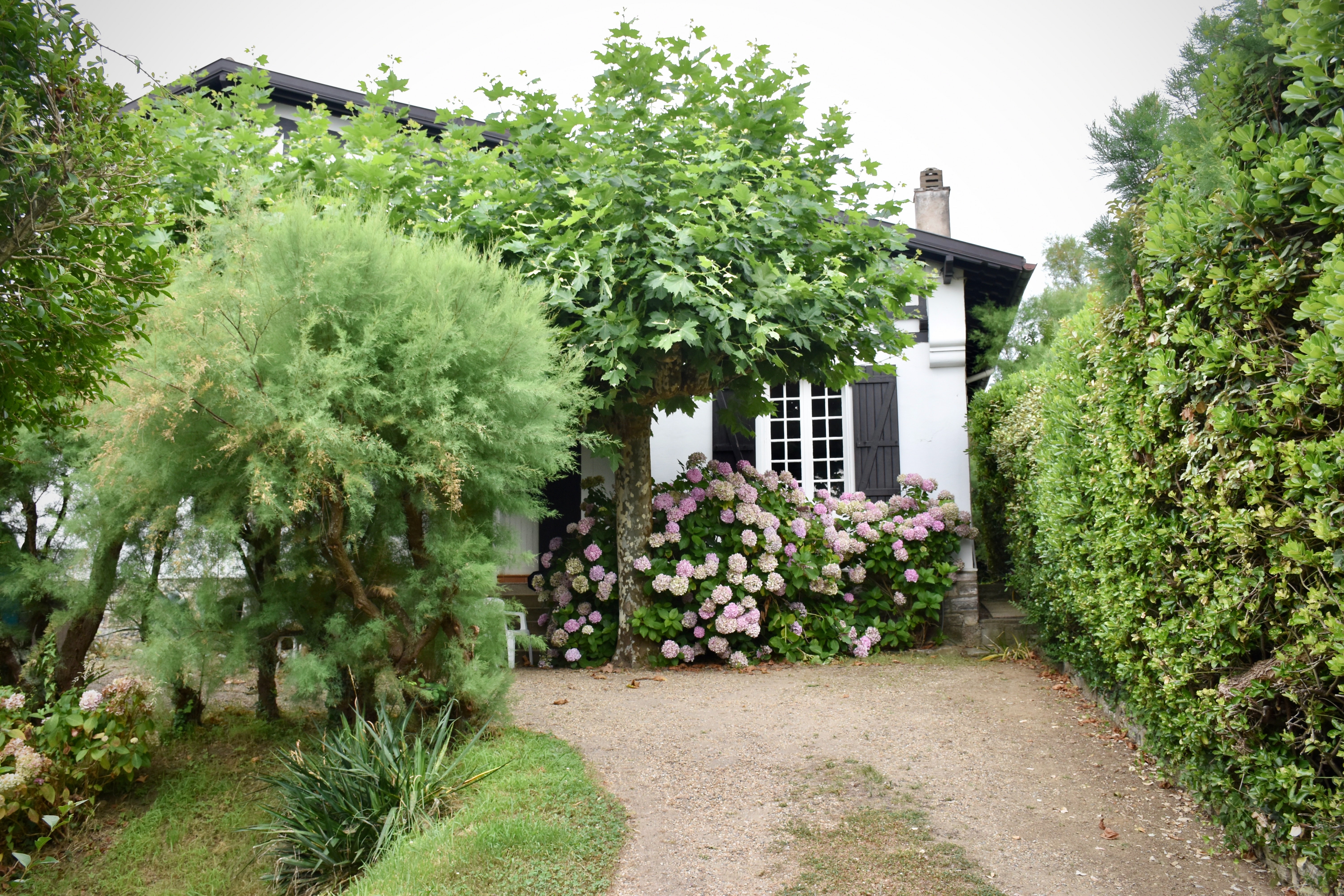 Front garden by Arno Senoner