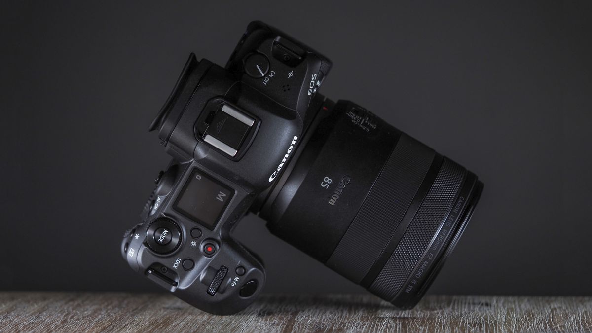 Canon RF 85mm f/2 Macro