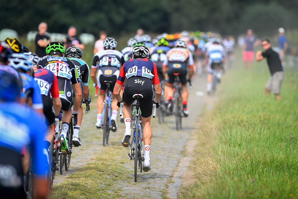 Schaal Sels