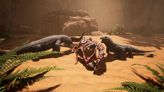 Komodo dragons eating a dead creature