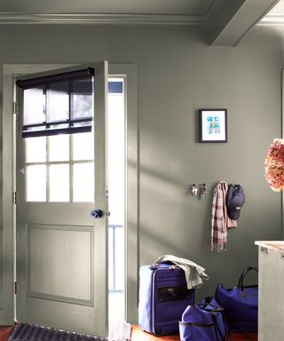 front door, hallway walls and ceiling painted in Antique Pewter with blue luggage on the wooden floor