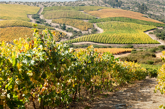 Chile - South America