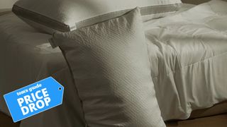 Coop EdenCool Adjustable Pillow resting against a bed