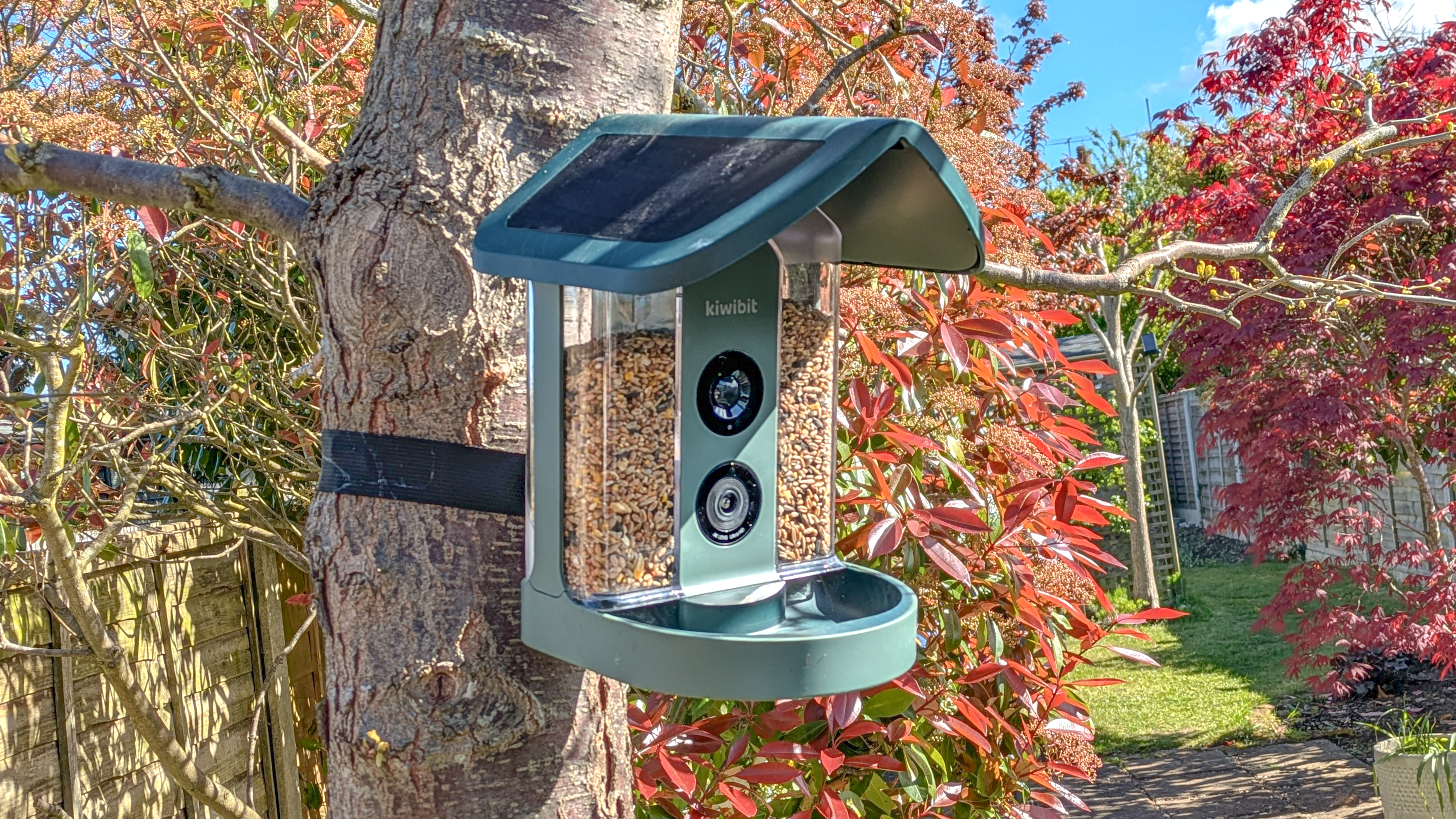 Kiwibit Bird Feeder 2