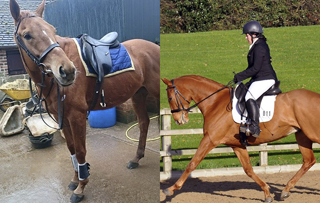 “This is my ex-racehorse, Sirius Chesnut. He has gone from National Hunt racing to dressage diva and we are aiming for BD’s My Quest and the RoR championships this year, and maybe even a Petplan area festival qualification!” — Katy Ferrari