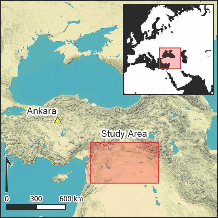 Study authors in Antiquity in 2023 searched for Roman forts in modern-day Syria and Iraq, using old spy satellite imagery; the study area is indicated in this image.