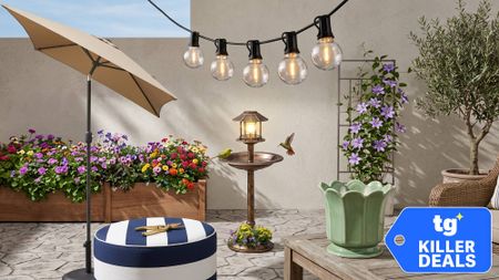 Wayfair deals
