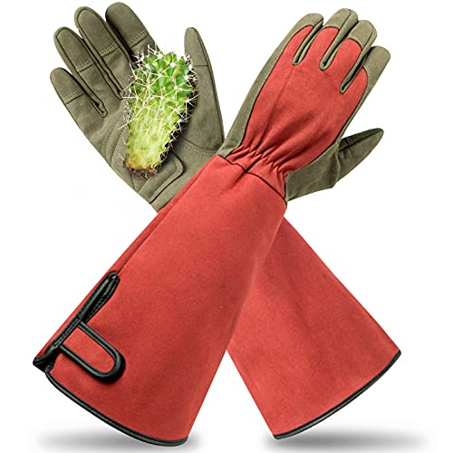 Yionaiyi Professional Rose Pruning Thorn Proof Gardening Gloves With Long Forearm Protection for Men and Women (1 Pair) (red, Large)&amp;hellip;