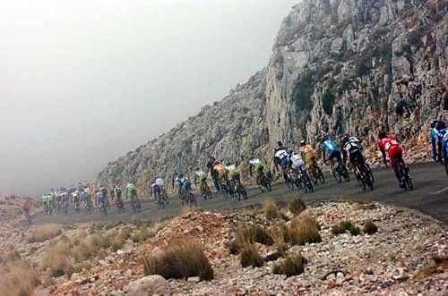 The peloton make their way up the climb, single file.