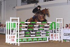 Michaela Bowling on Laughing Larry at Aintree