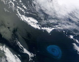 An instrument aboard NASA's Terra satellite captured this natural-color image of a deep-ocean eddy containing a phytoplankton bloom off the coast of South Africa. The enormous eddy, imaged on Dec. 26, 2011, likely peeled off from the Agulhas Current.