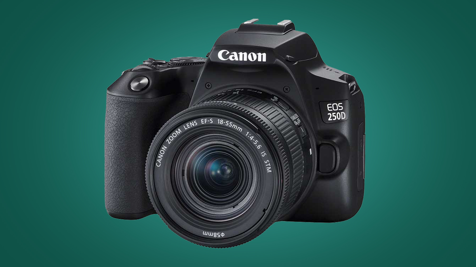 Canon vs Nikon Beginnerfriendly DSLRs Canon vs Nikon which DSLR or