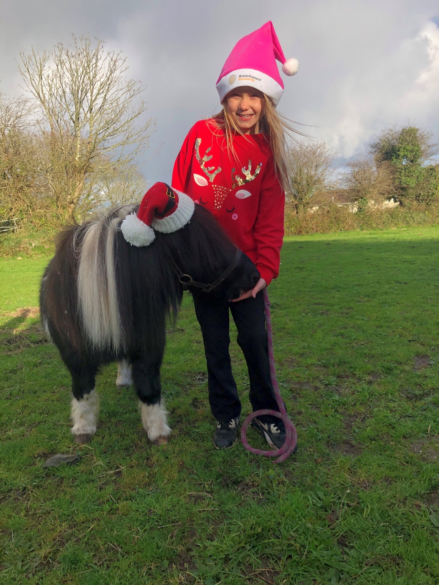 Shetland pony Brain Tumour Research