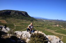 wine professor, languedoc